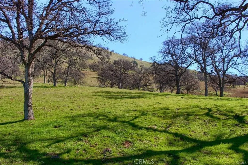 Additional image 42 of 160 AC Cotton Creek Rd, Mariposa, CA 95338