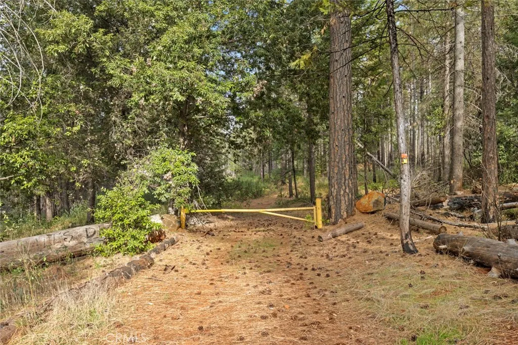 Additional image 19 of Old Forbestown Road, Forbestown, CA 95941