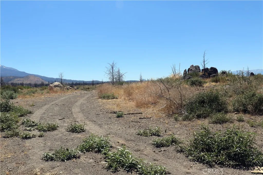 Additional image 12 of Juniper Valley Drive, Weed, CA 96094