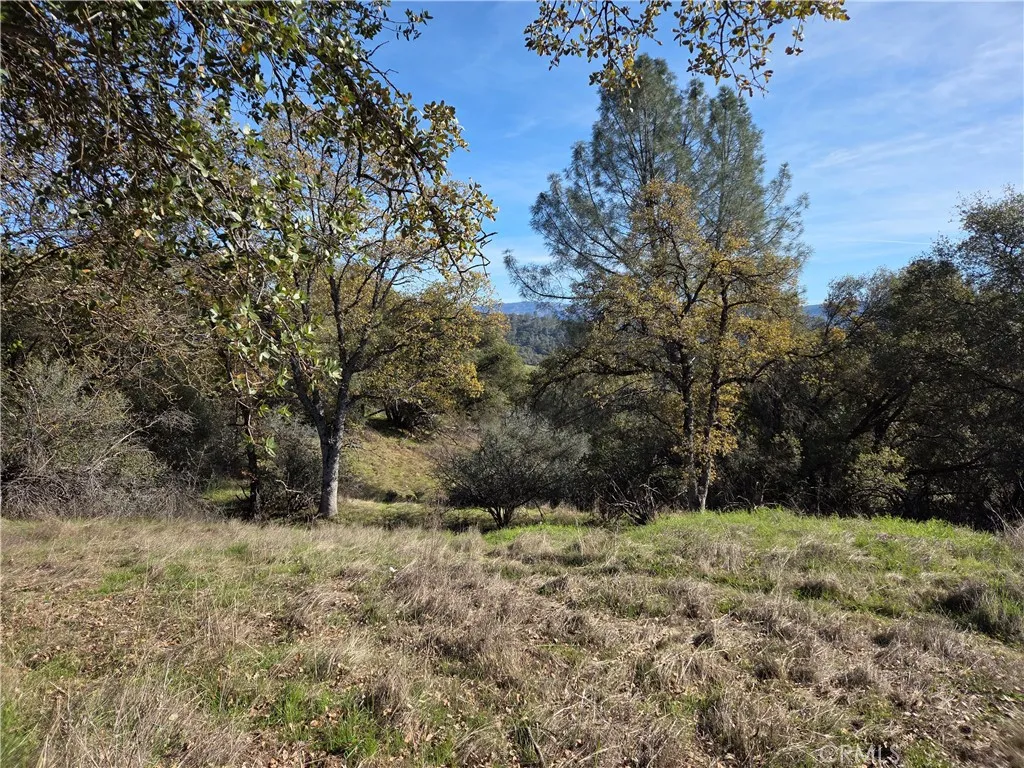 Additional image 17 of 12.19 AC Road 222, North Fork, CA 93643