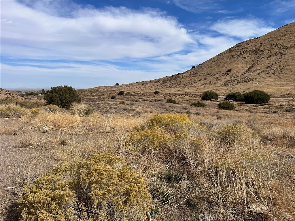 Property image for Sierra Hwy/Angeles Forest Highway, Acton, CA 93510