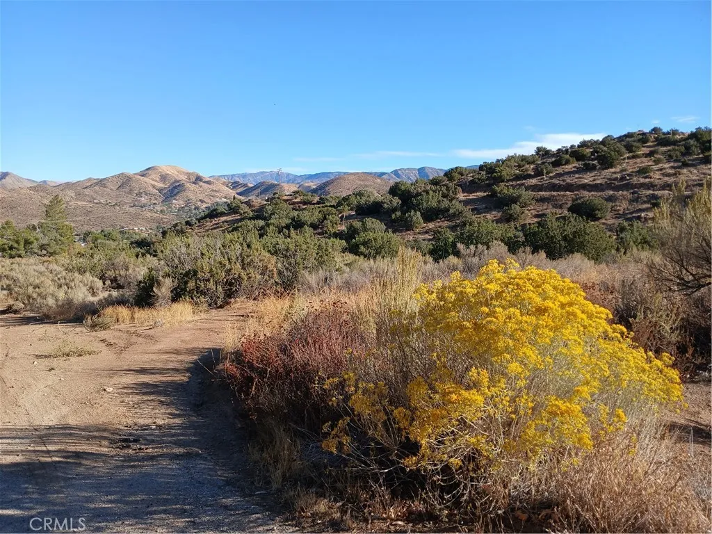 Additional image 15 of Acton Avenue W, Acton, CA 93510