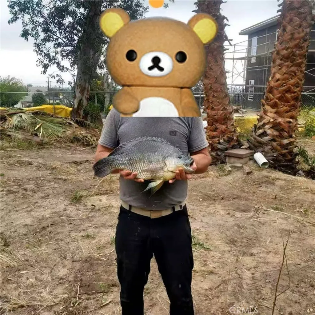 Additional image 10 of 3818 Osbun Road, San Bernardino, CA 92404