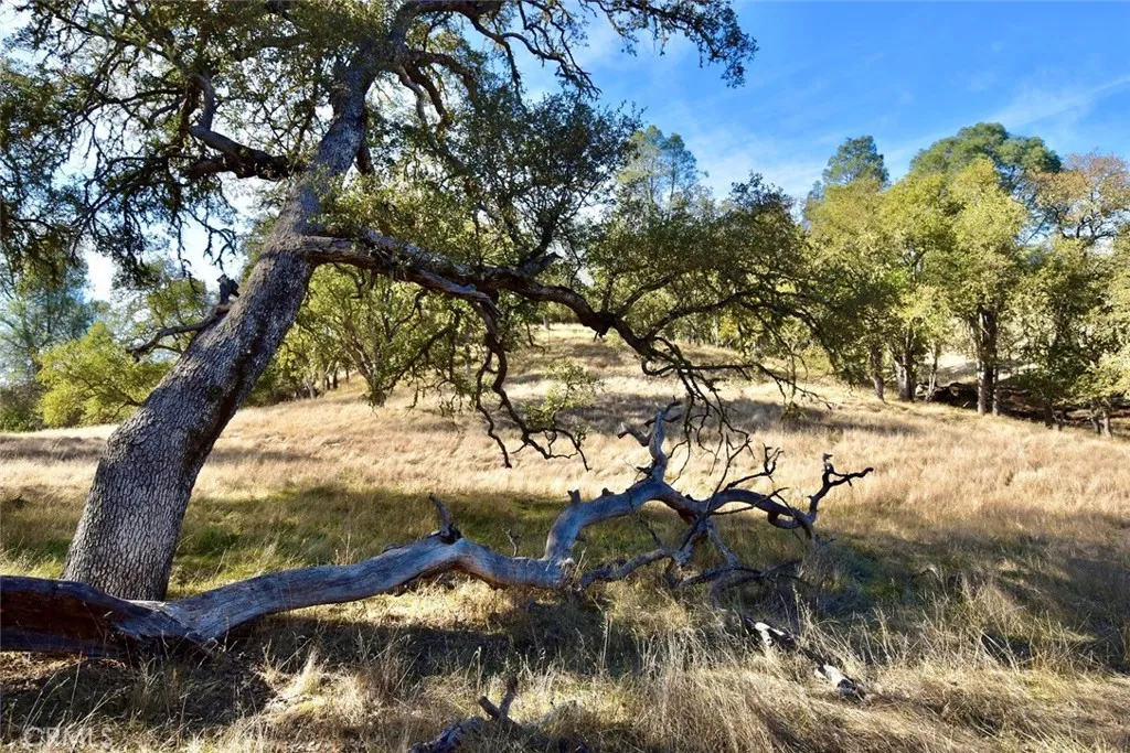 Additional image 38 of 47811 Sapaque Valley Rd, Bradley, CA 93426