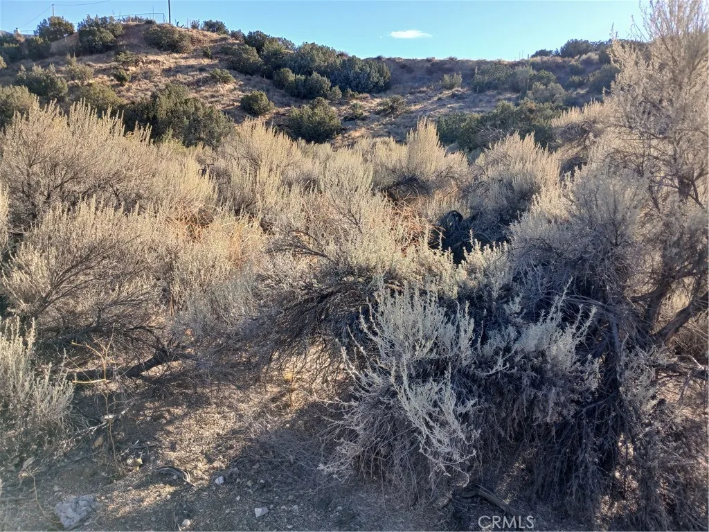 Additional image 18 of Acton Avenue W, Acton, CA 93510