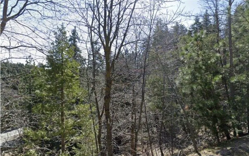 23657 Lo Ln, Twin Peaks, CA 92391