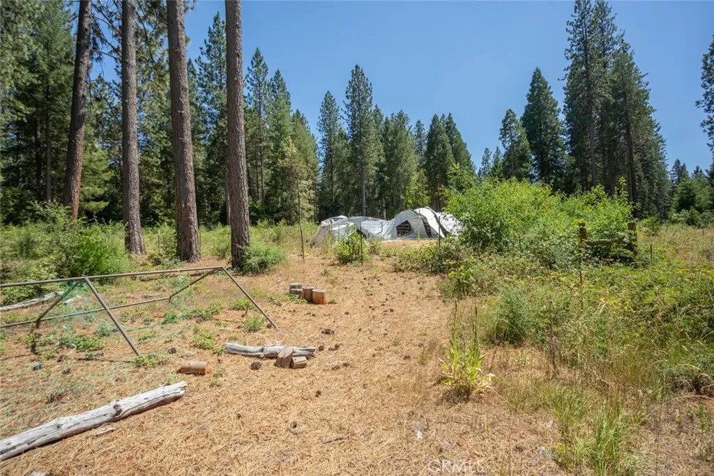 Additional image 69 of forbestown rd, Forbestown, CA 95941