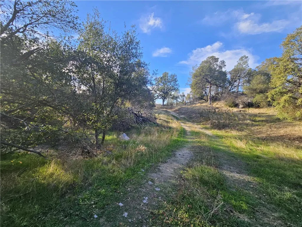 Additional image 29 of 58111 Lark Ln, North Fork, CA 93643