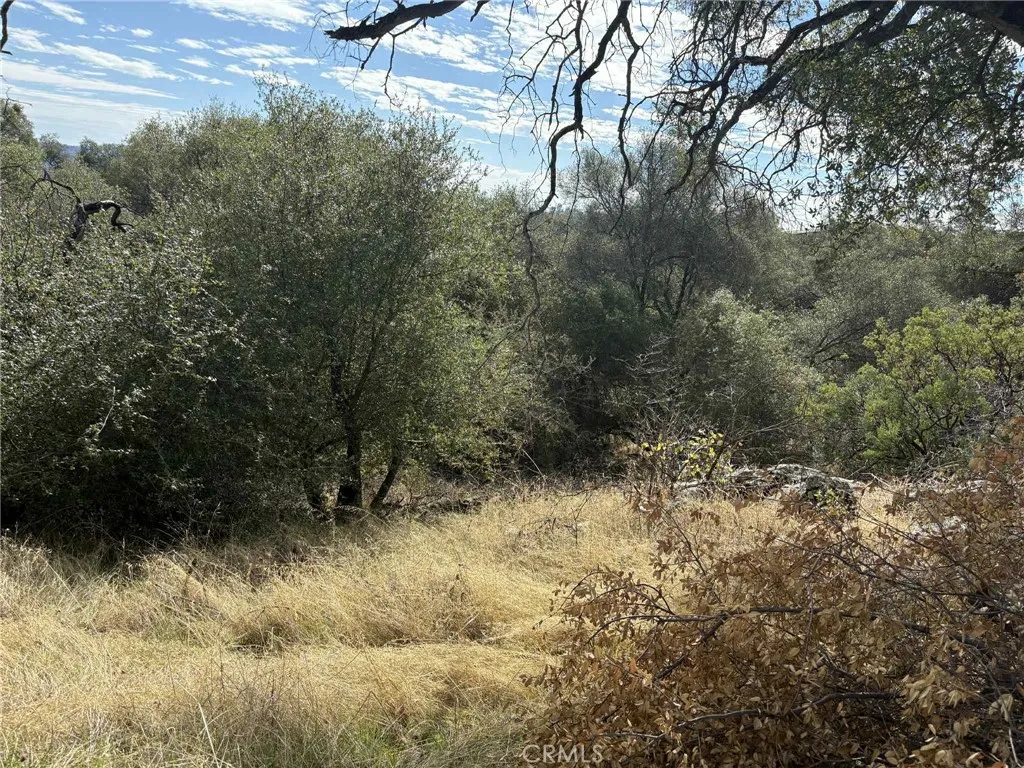 Additional image 23 of 38699 Road 600, Raymond, CA 93653