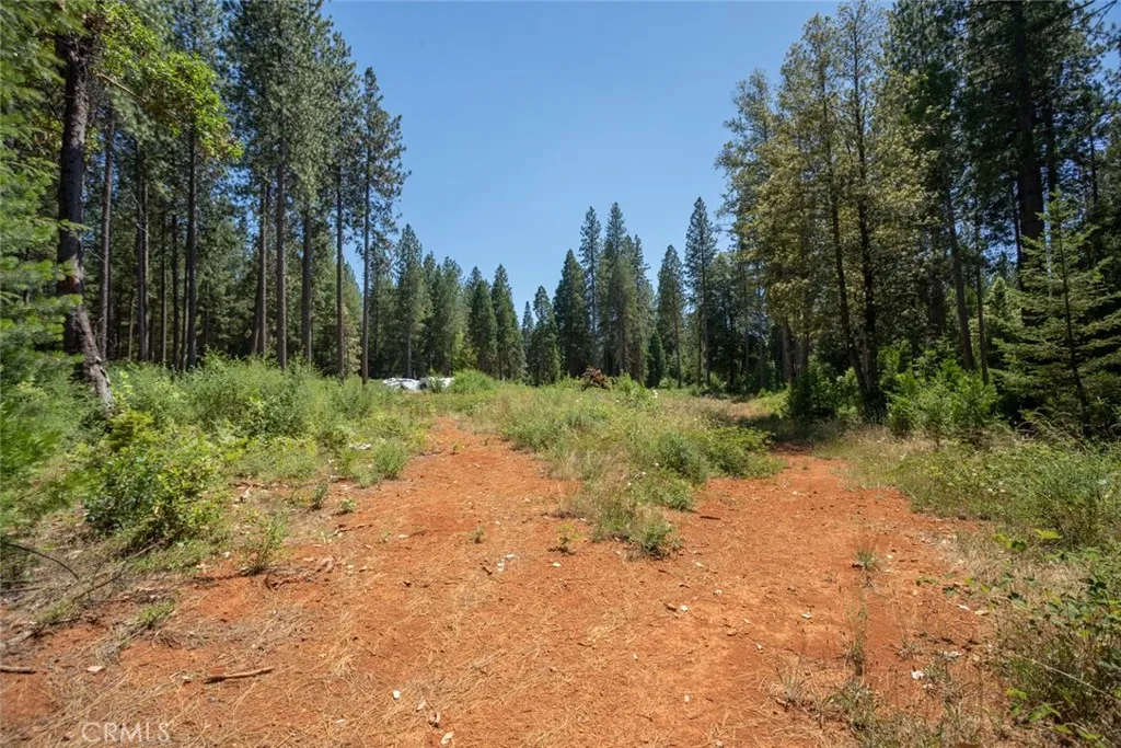 Additional image 31 of forbestown rd, Forbestown, CA 95941