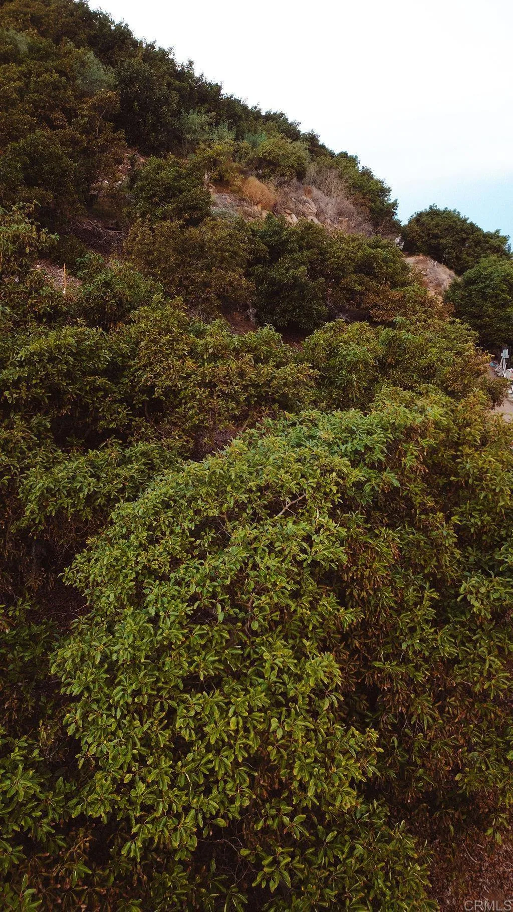 Additional image 32 of 1411 Wild Acres Rd., Vista, CA 92084