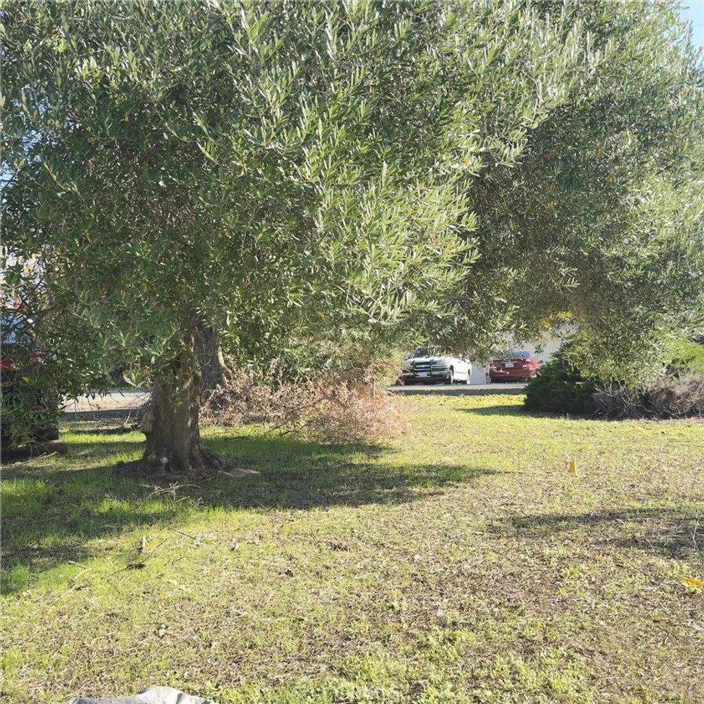 Property image for Canyon Highlands Drive, Oroville, CA 95965