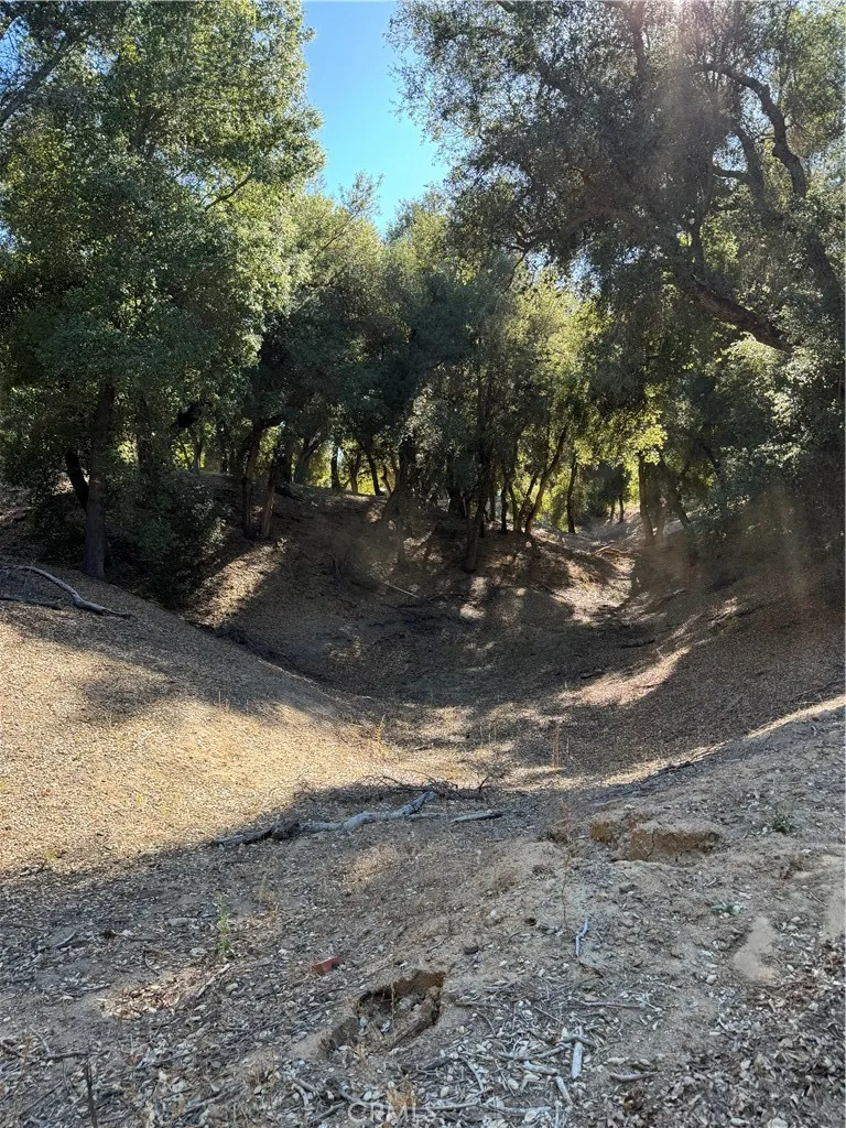 Additional image 115 of Arroyo Road, Lake Elsinore, CA 92530