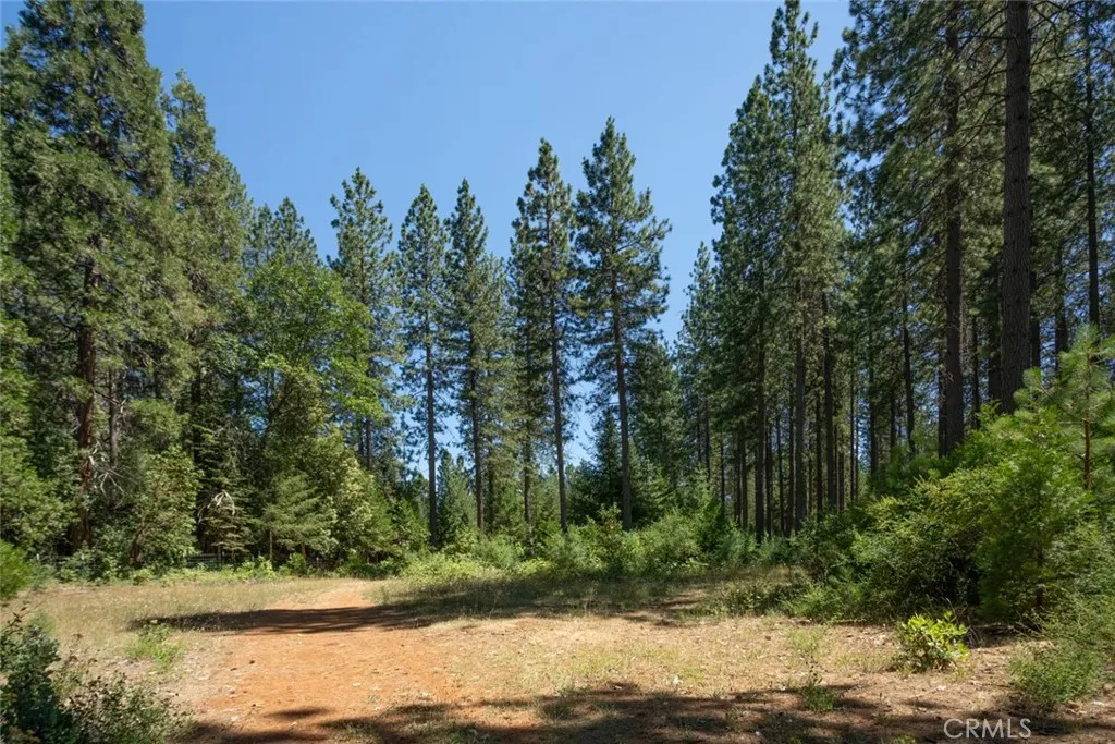 Additional image 61 of forbestown rd, Forbestown, CA 95941