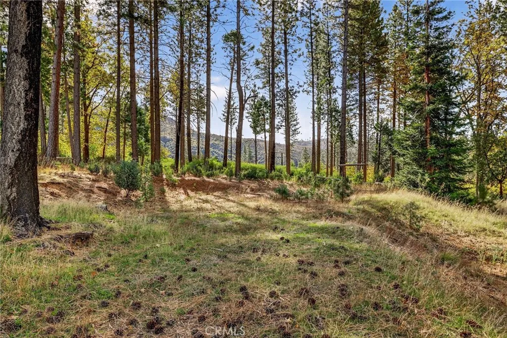 Additional image 55 of 4120 Jack Dale Way, Oroville, CA 95965