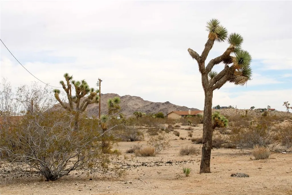 Additional image 7 of 45908 Anita Avenue, Yucca Valley, CA 92284