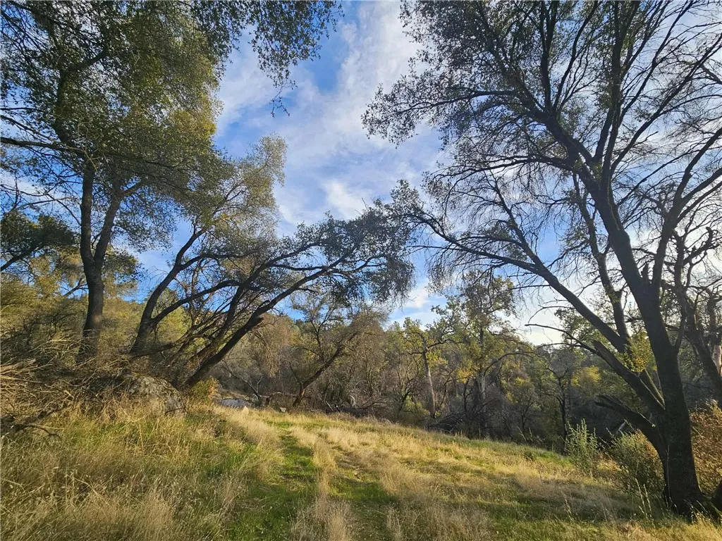 Additional image 5 of 58111 Lark Ln, North Fork, CA 93643