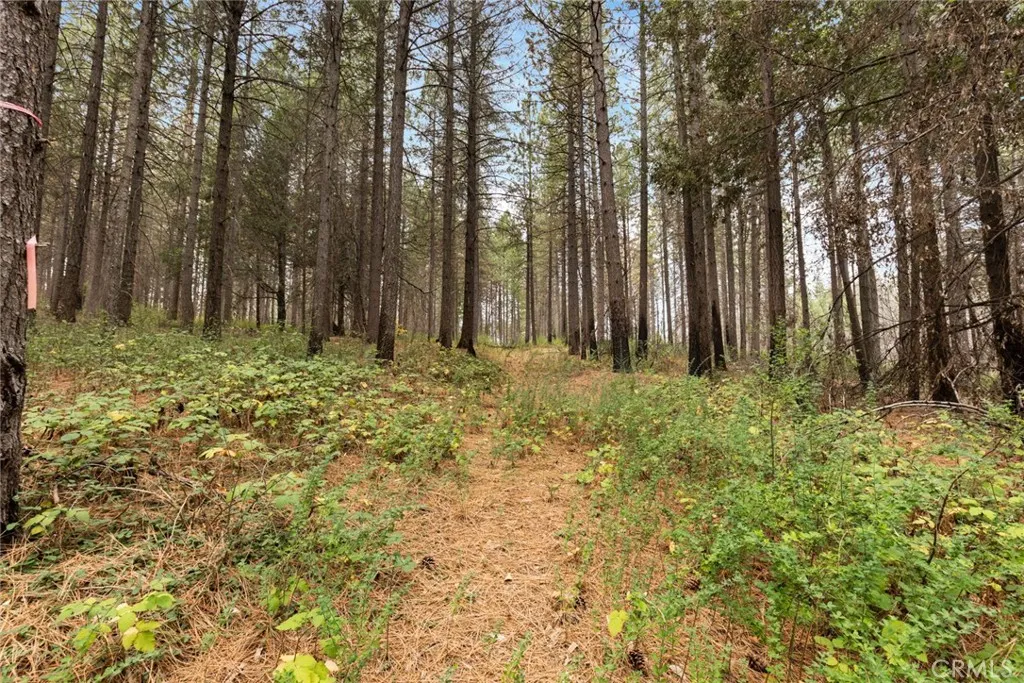 Additional image 32 of Old Forbestown Road, Forbestown, CA 95941