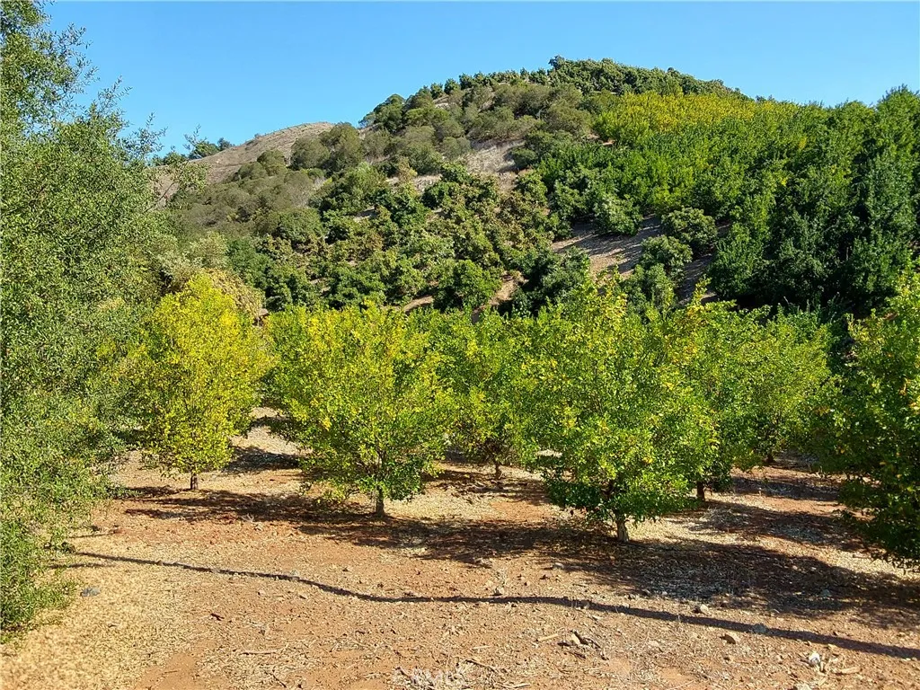 Additional image 38 of 3 Via Vaquero, Temecula, CA 92590