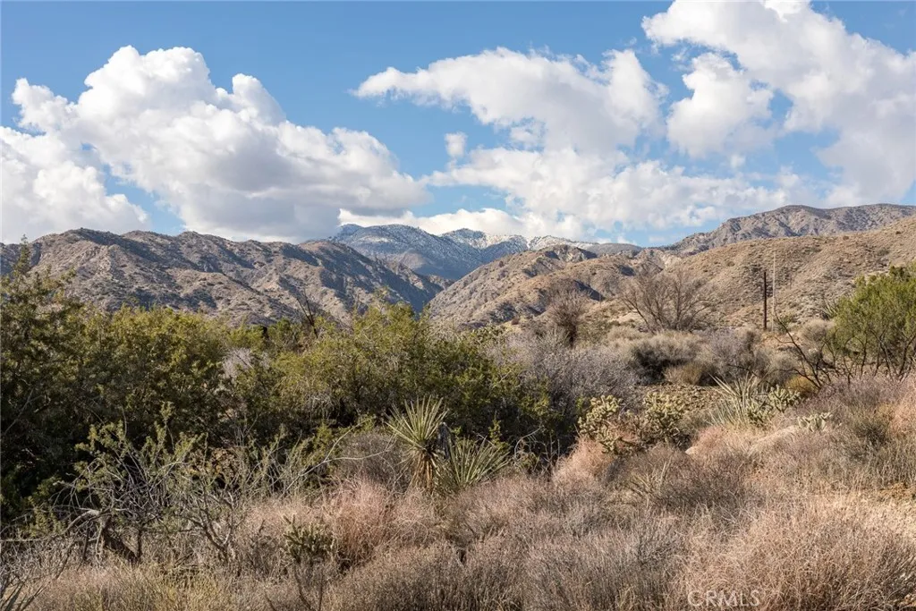 Additional image 8 of Magnolia Drive, Morongo Valley, CA 92256