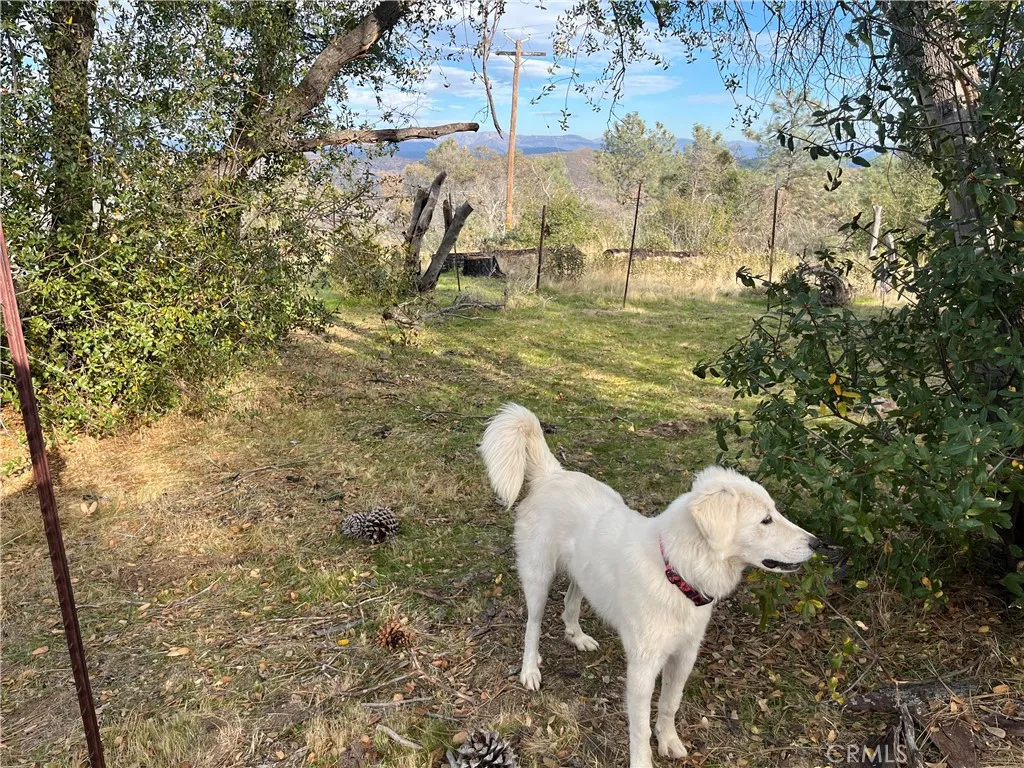 Additional image 124 of 4934 Guadalupe Fire, Catheys Valley, CA 95306