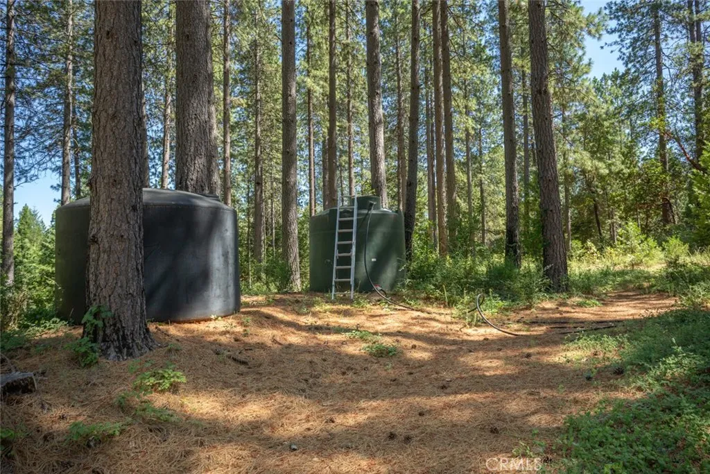 Additional image 63 of forbestown rd, Forbestown, CA 95941