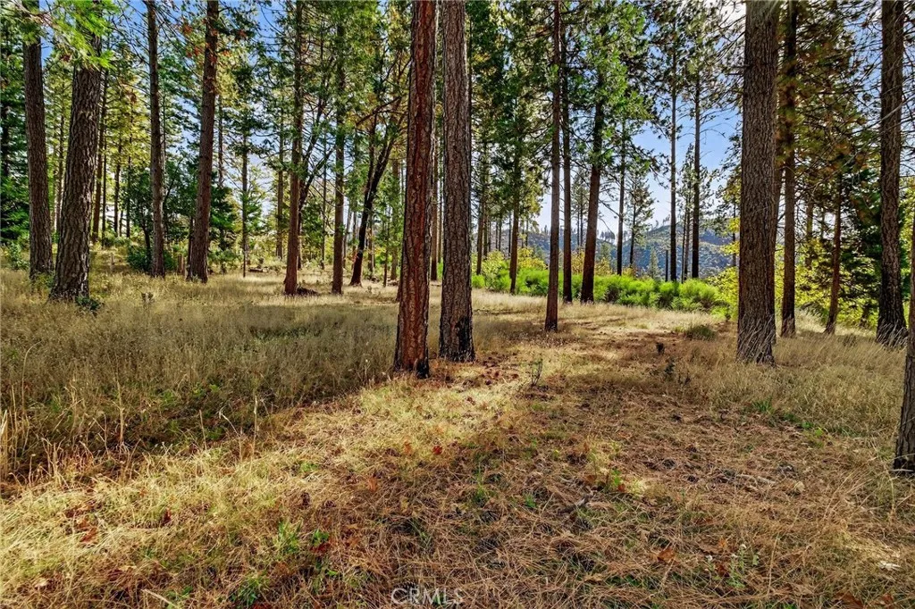 Additional image 71 of 4120 Jack Dale Way, Oroville, CA 95965