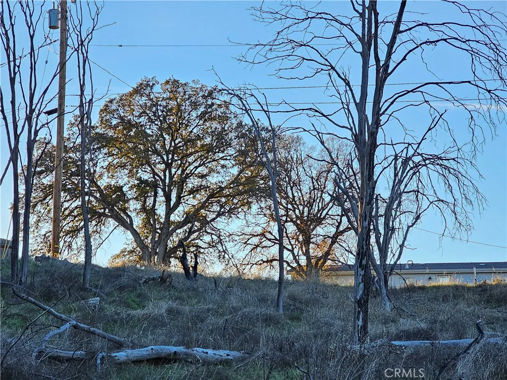 Additional image 18 of 17150 Deer Park Dr, Lower Lake, CA 95457