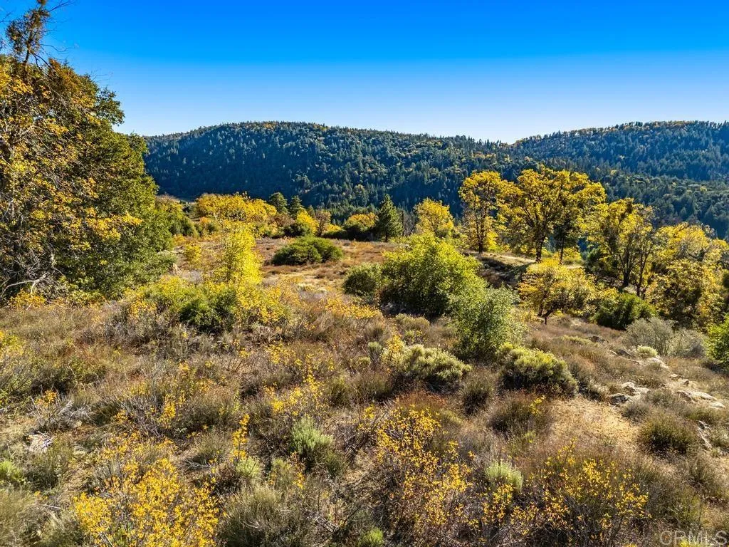 Additional image 32 of State Park Road, Palomar Mountain, CA 92060