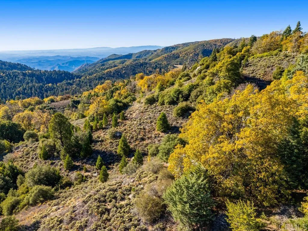 Additional image 23 of State Park Road, Palomar Mountain, CA 92060