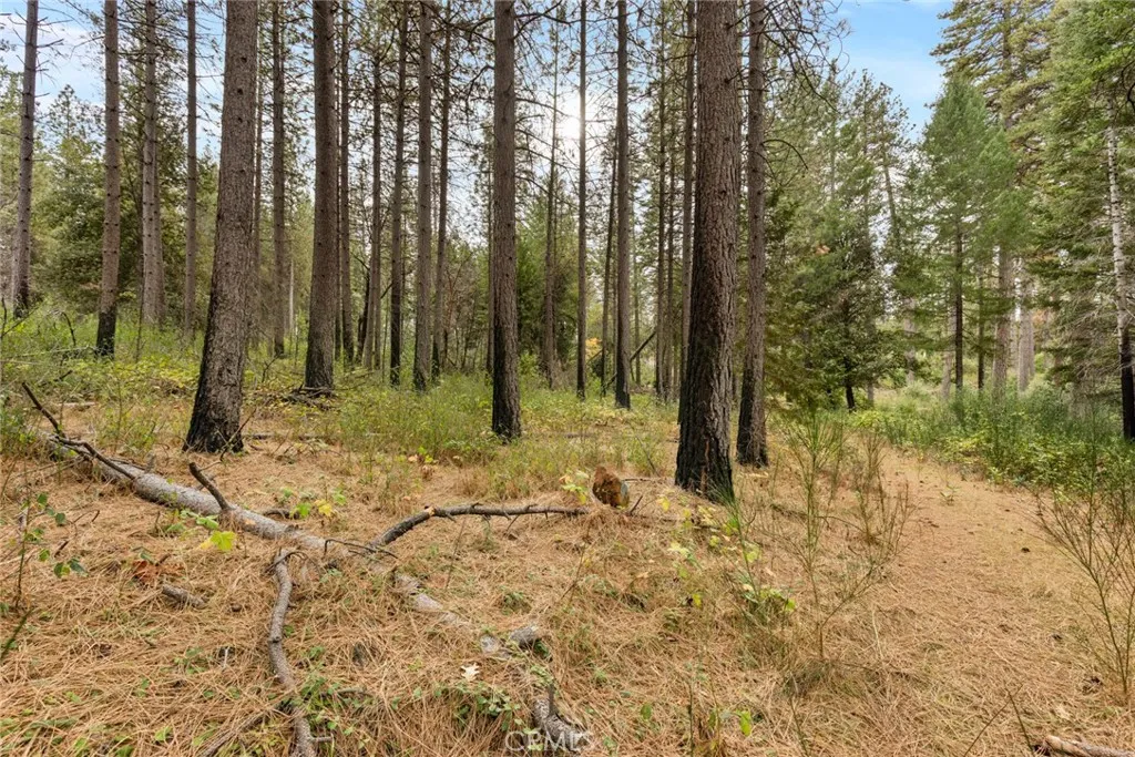 Additional image 7 of Old Forbestown Road, Forbestown, CA 95941