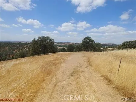 Additional image 10 of Avacado, Bangor, CA 95914