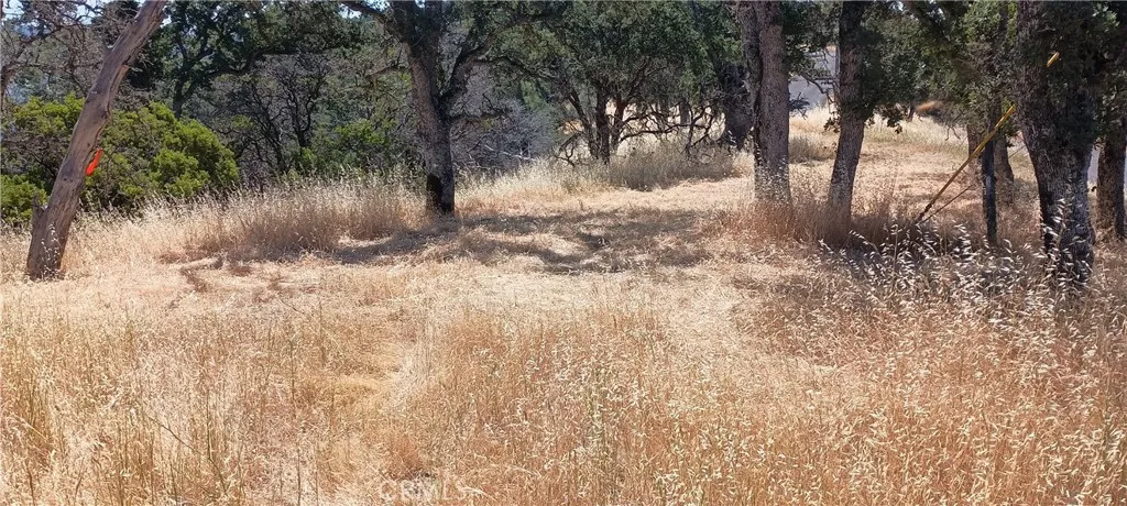 Additional image 8 of 10312 Crestview Dr, Clearlake, CA 95424