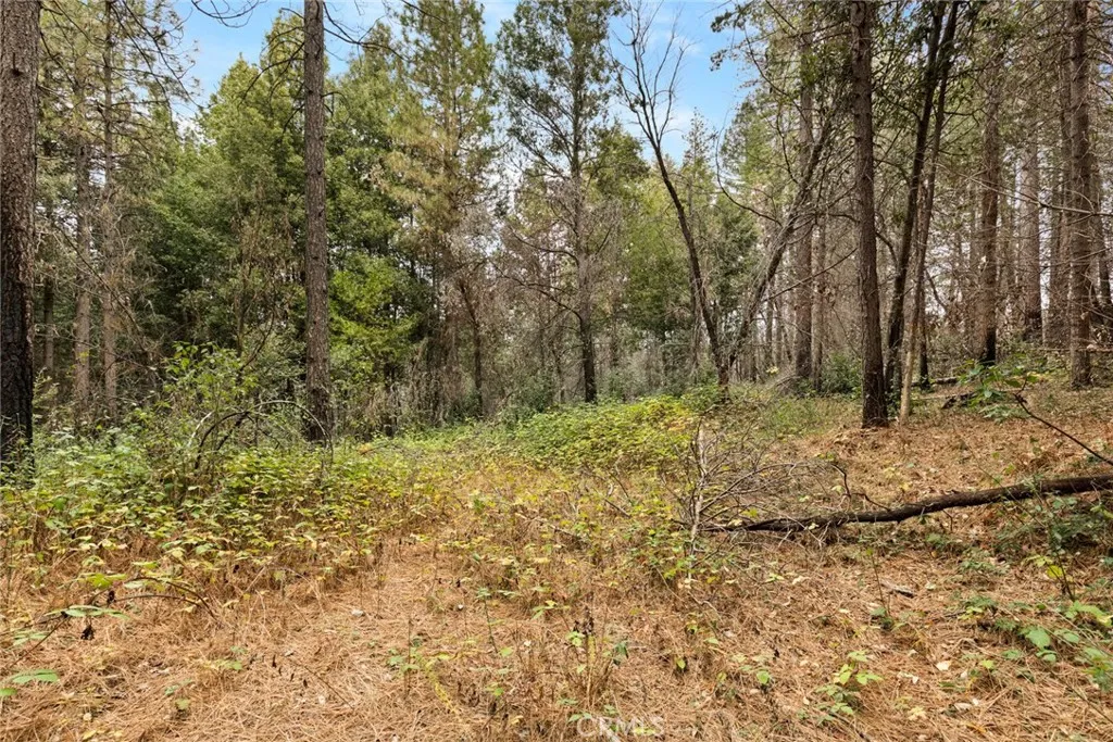 Additional image 15 of Old Forbestown Road, Forbestown, CA 95941