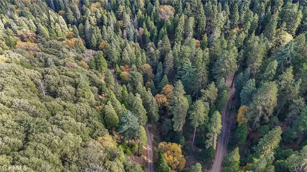 Additional image 12 of Deer Run Road, Cedarpines Park, CA 92322