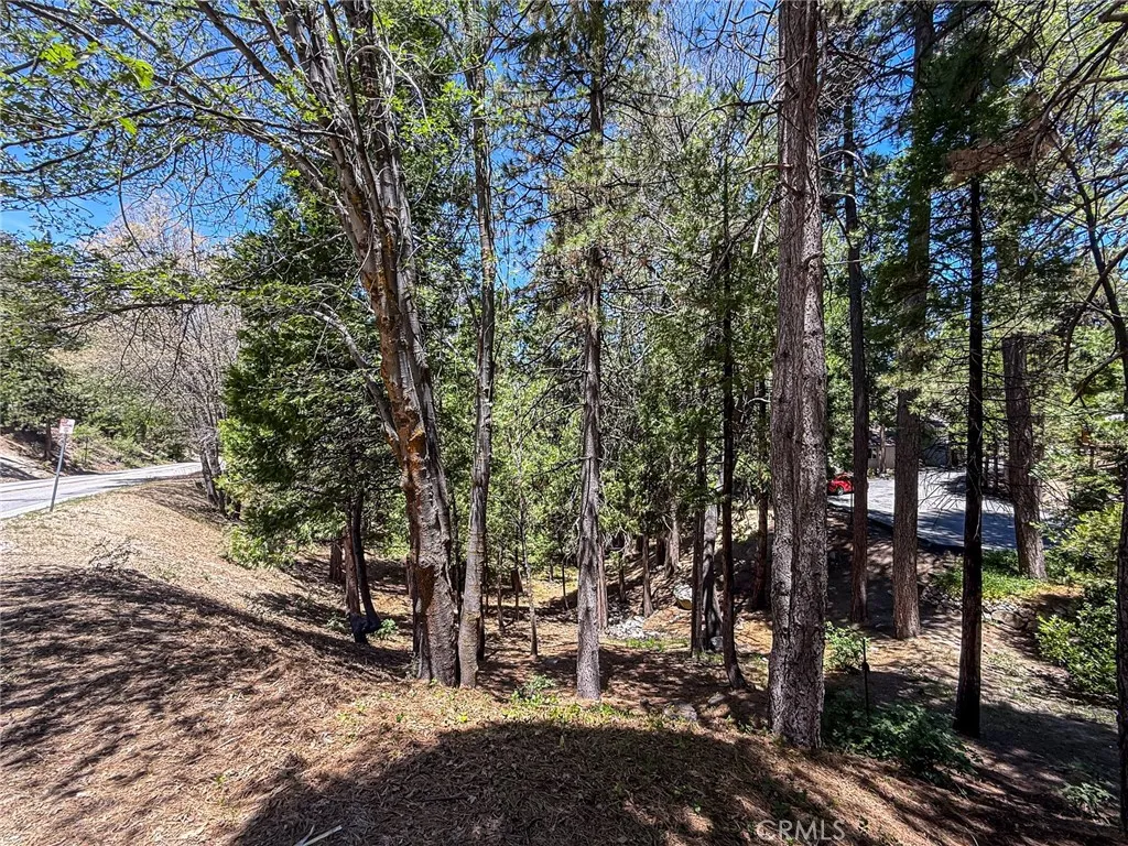 Additional image 15 of 180 Grass Valley Rd. #5, Lake Arrowhead, CA 92352
