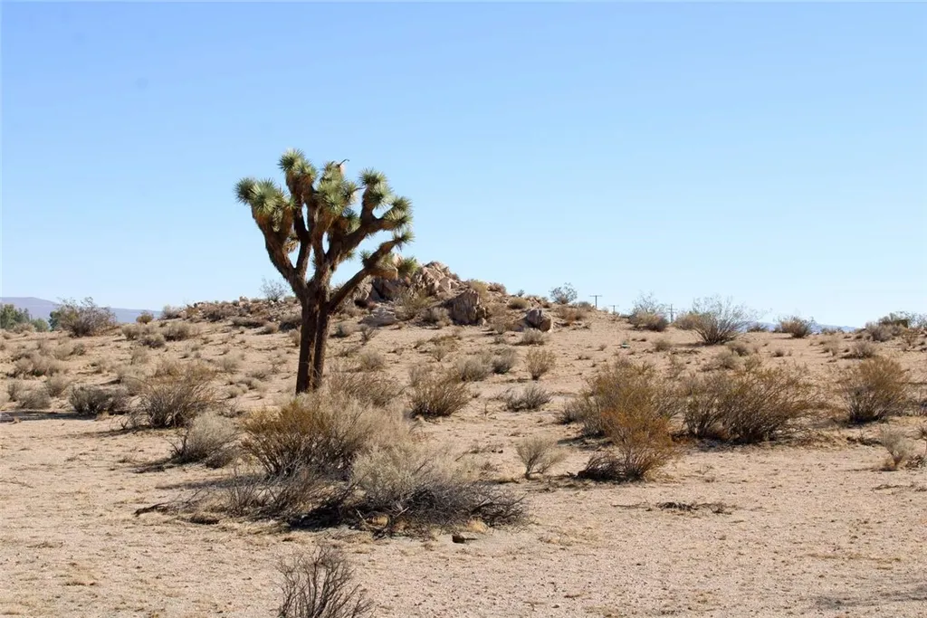 Additional image 8 of 20999 Bella Vista Drive, El Mirage, CA 92301