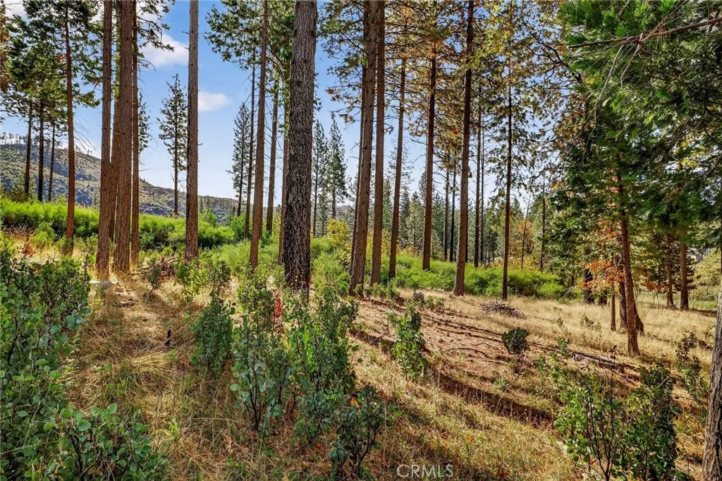 Additional image 62 of 4120 Jack Dale Way, Oroville, CA 95965