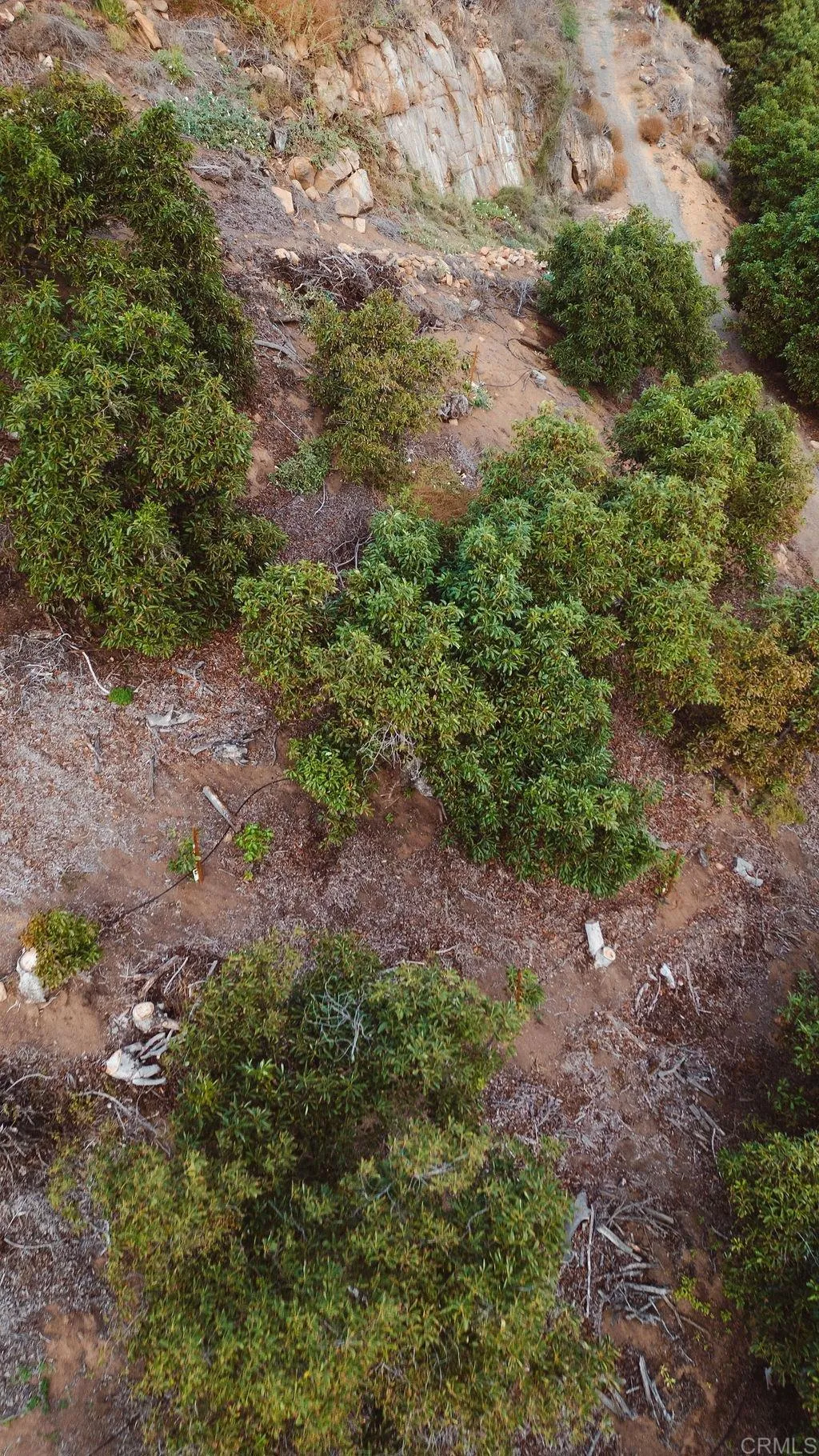 Additional image 18 of 1411 Wild Acres Rd., Vista, CA 92084