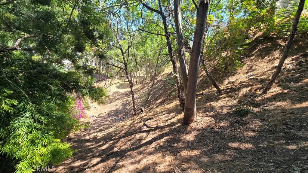 Additional image 29 of 631 N Avenue 48 Ave, Los Angeles, CA 90042