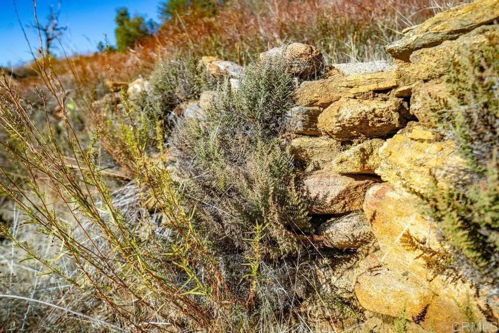 Additional image 47 of State Park Road, Palomar Mountain, CA 92060