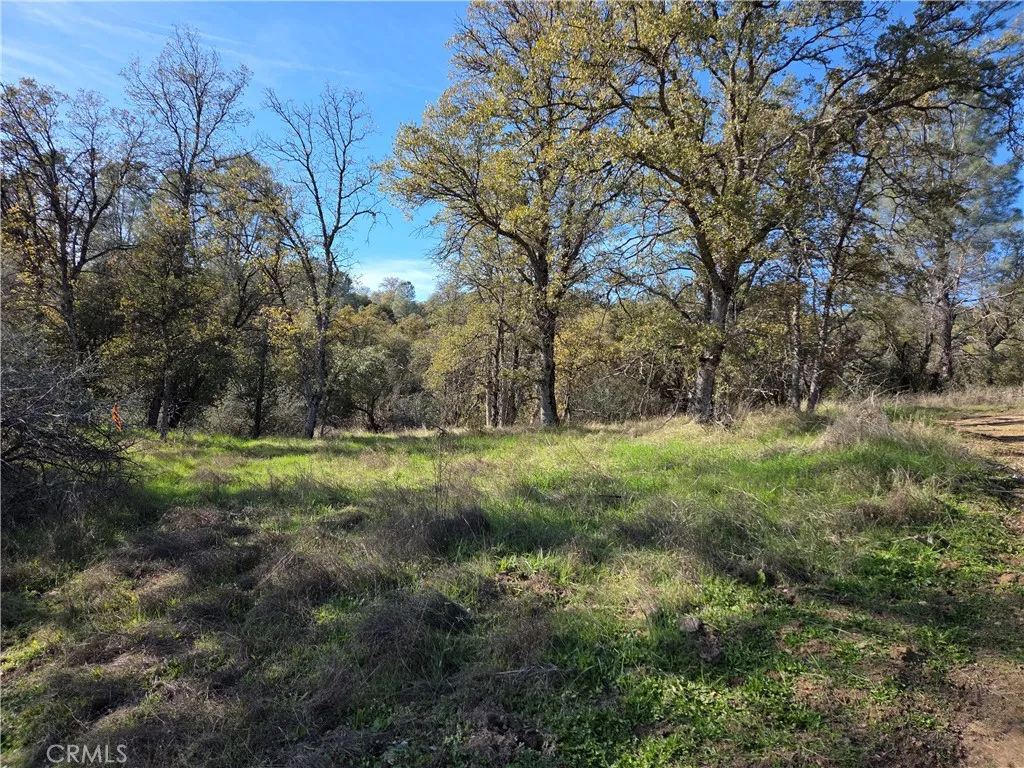 Additional image 9 of 12.19 AC Road 222, North Fork, CA 93643