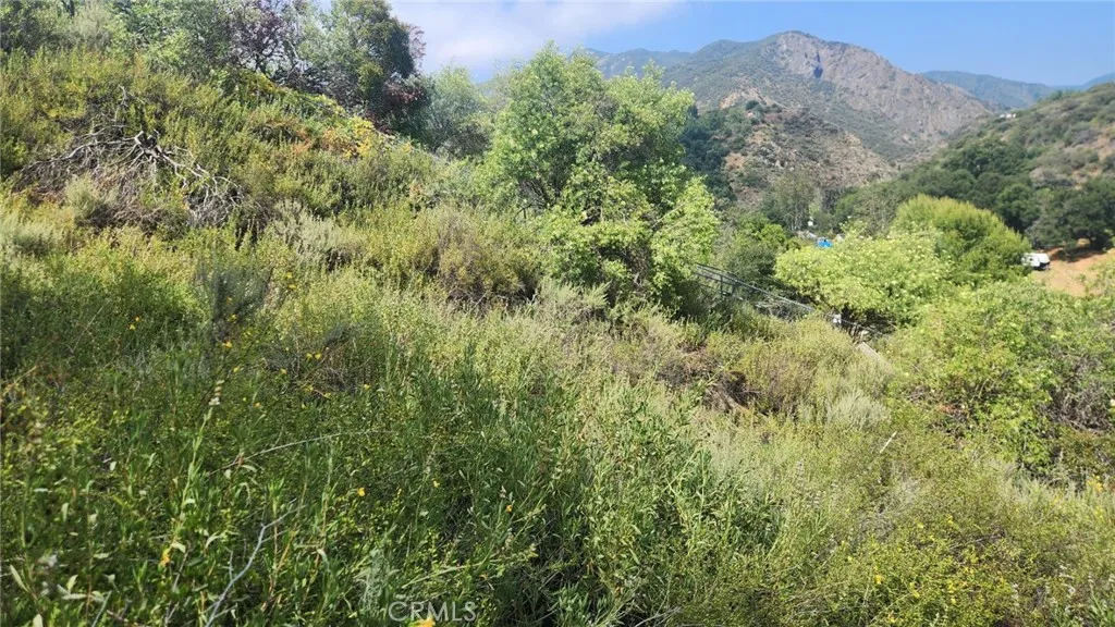 Additional image 20 of Ladd Canyon, Silverado, CA 92676