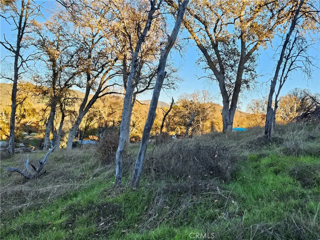 Additional image 21 of 17150 Deer Park Dr, Lower Lake, CA 95457