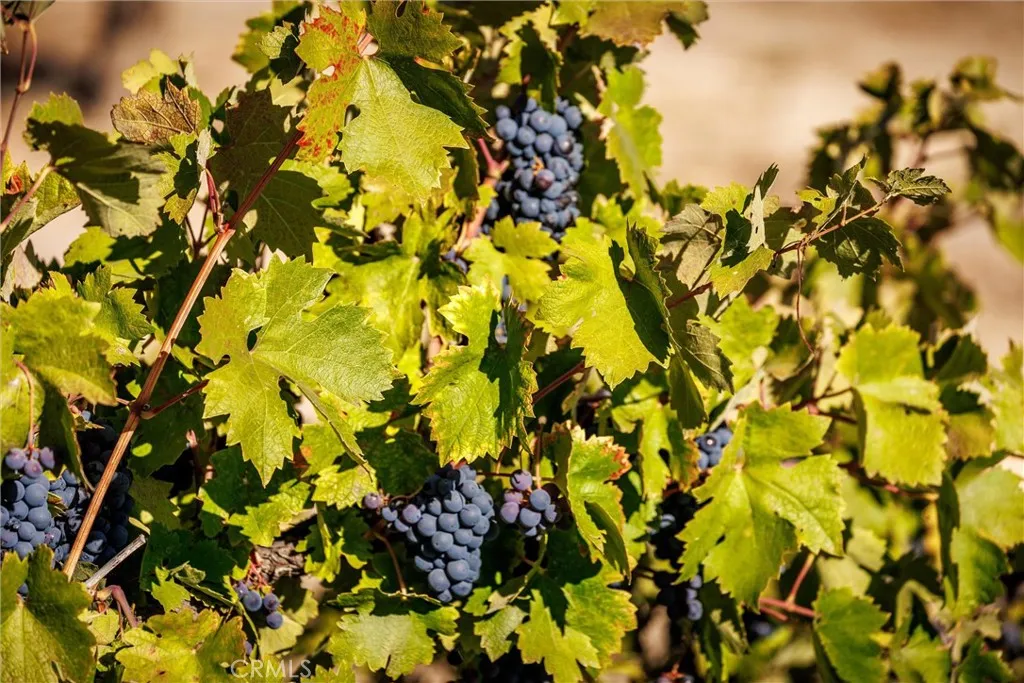 Additional image 19 of 3000 Oakdale Rd., Paso Robles, CA 93446