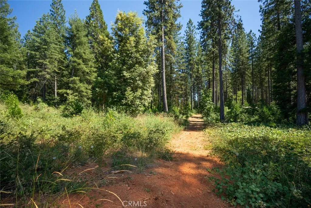 Additional image 38 of forbestown rd, Forbestown, CA 95941