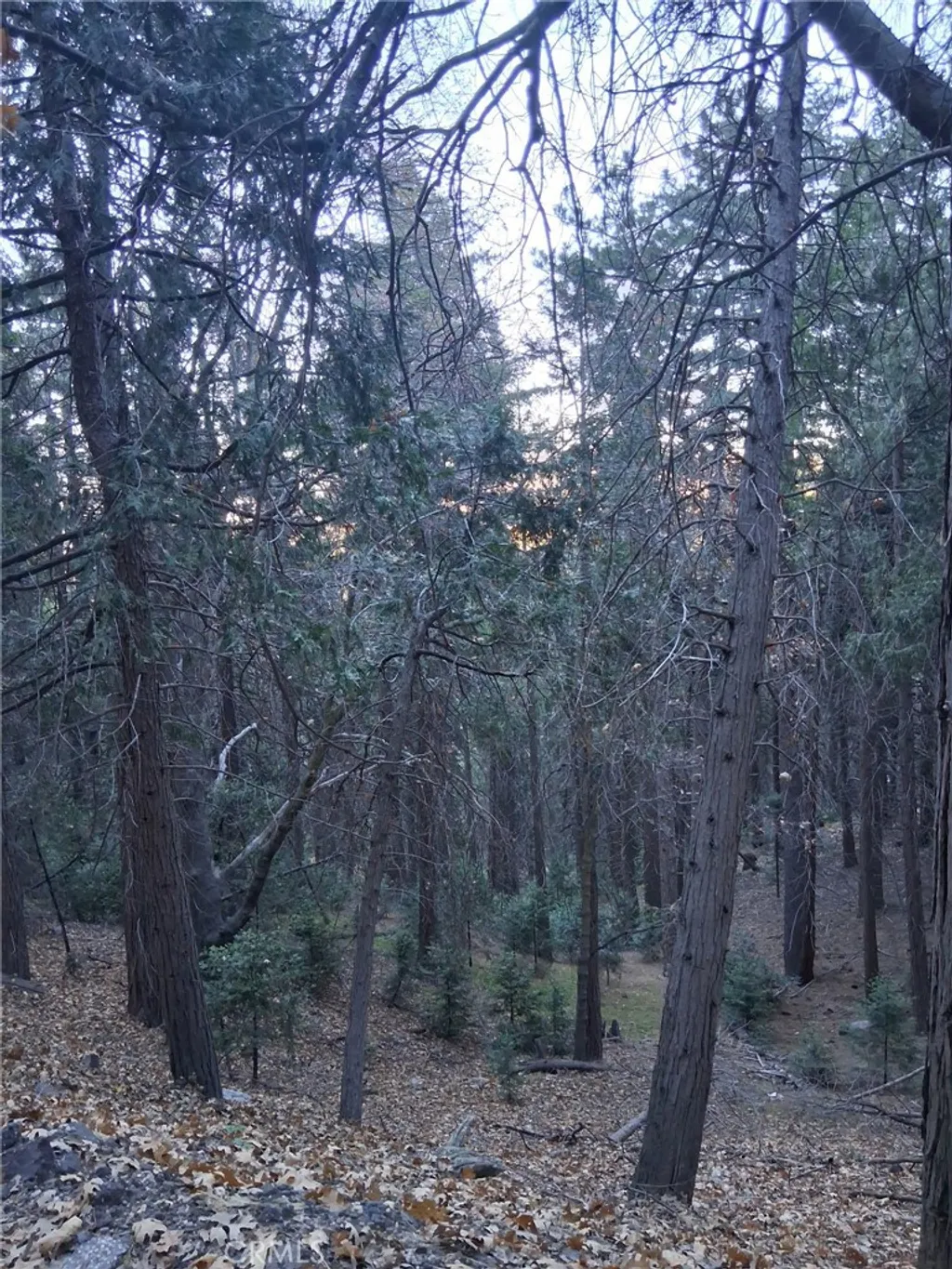 Additional image 2 of Reservoir, Cedarpines Park, CA 92322