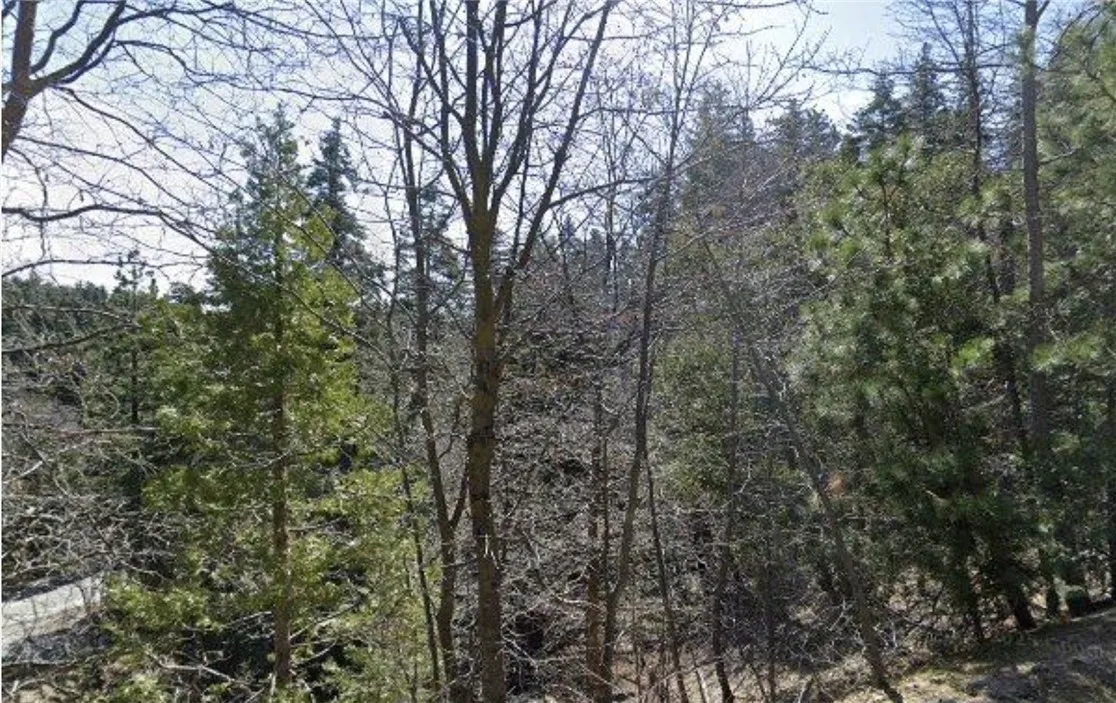 Additional image 4 of 23657 Lo Ln, Twin Peaks, CA 92391