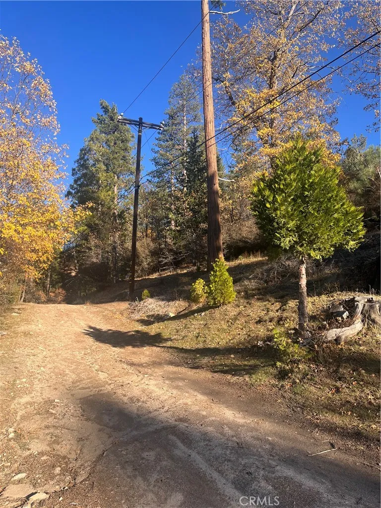 Additional image 7 of 29834 Juniper Drive, Cedar Glen, CA 92321