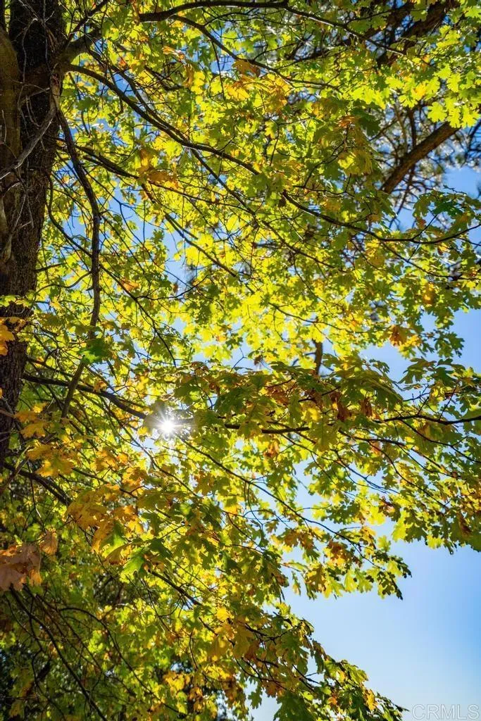 Additional image 50 of State Park Road, Palomar Mountain, CA 92060